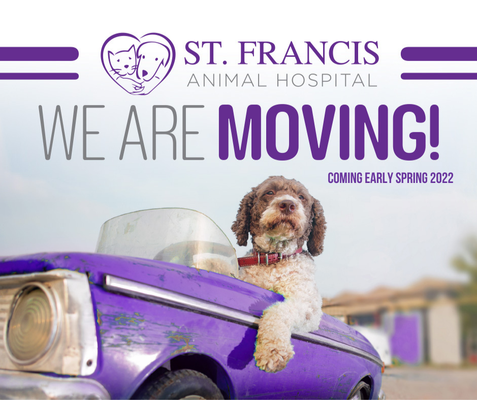 St. Francis Animal Hospital Is Moving, Come Early Spring 2022