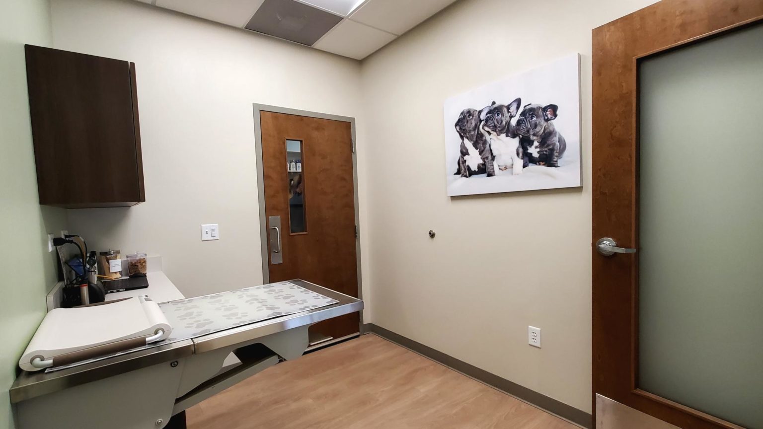 Hospital Tour St. Francis Animal Hospital in Saint Francis, WI