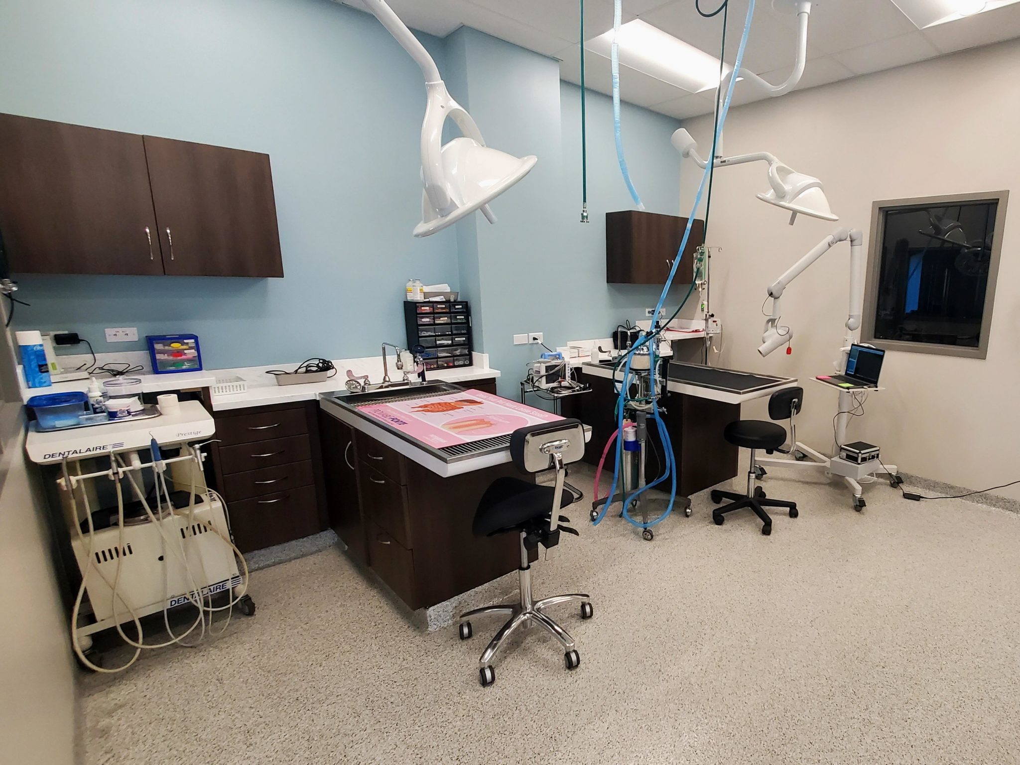 Hospital Tour St. Francis Animal Hospital in Saint Francis, WI